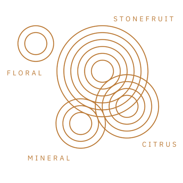 MADEIRA FLAVOUR RIPPLEpng.png