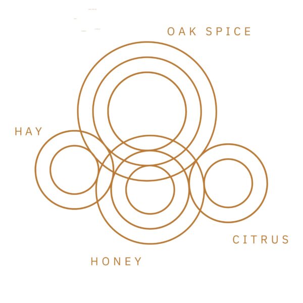 MARSALA FLAVOUR RIPPLEpng scaled 1.jpg