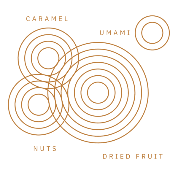 P.X. FLAVOUR RIPPLESpng.png