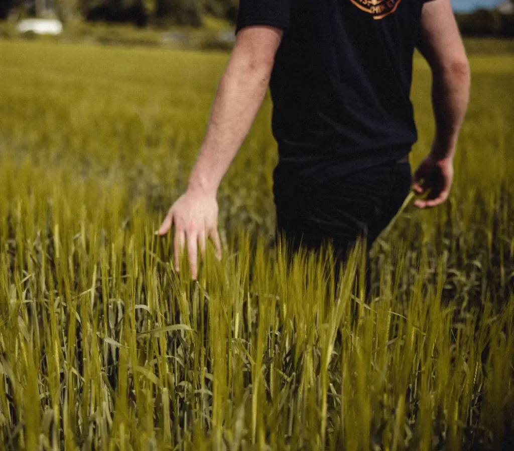 person walking through field